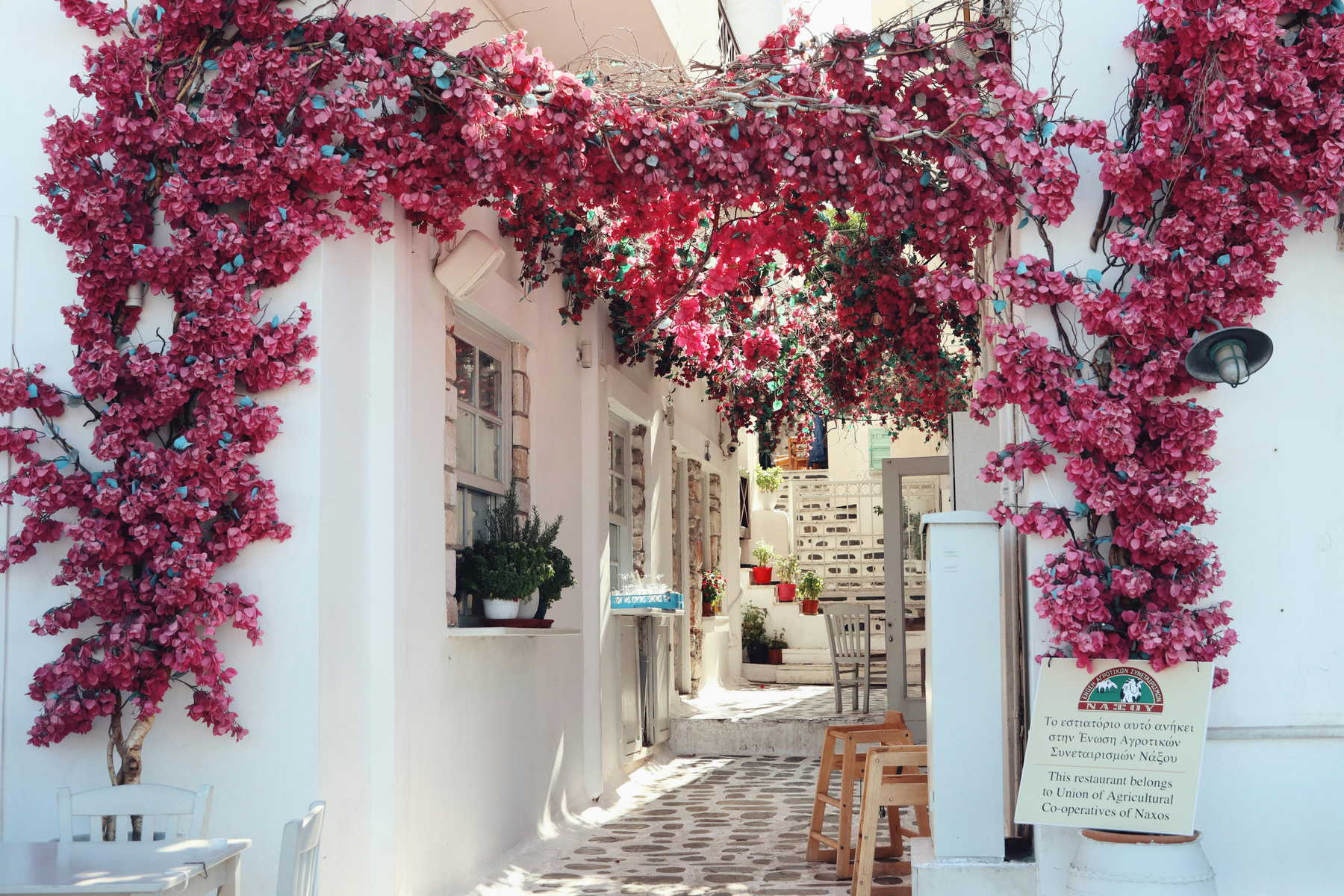 Naxos activities